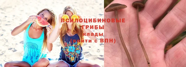 прущие грибы Алексин