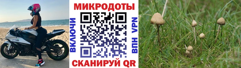 Псилоцибиновые грибы ЛСД Лермонтов
